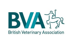 bva-old-news-img